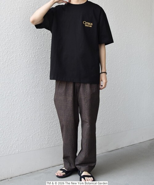 SHIPS any（シップス エニィ）の「【SHIPS any別注】NYBG: ボタニカル プリント リラックス Tシャツ◇（Tシャツ/カットソー・メンズ・ホワイト系その他/ホワイト/ブラック・MEDIUM/X-LARGE/LARGE）」の14枚目の写真
