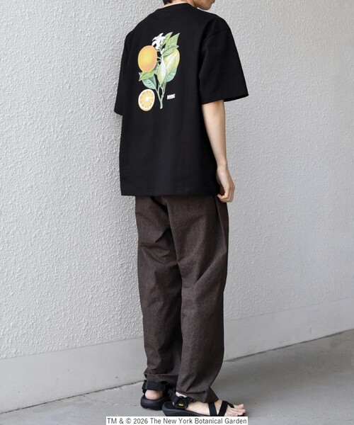 SHIPS any（シップス エニィ）の「【SHIPS any別注】NYBG: ボタニカル プリント リラックス Tシャツ◇（Tシャツ/カットソー・メンズ・ホワイト系その他/ホワイト/ブラック・MEDIUM/X-LARGE/LARGE）」の15枚目の写真