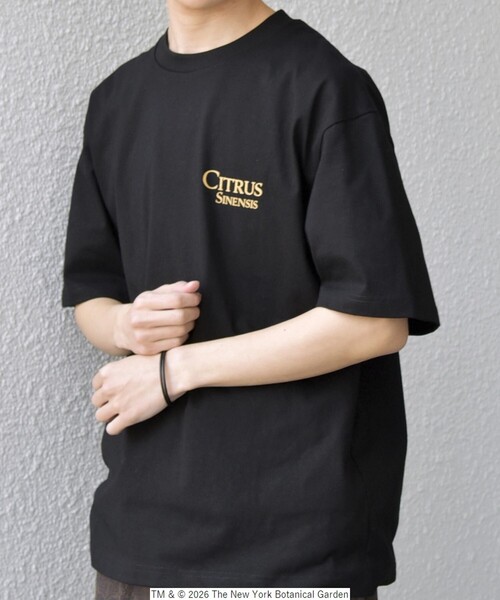 SHIPS any（シップス エニィ）の「【SHIPS any別注】NYBG: ボタニカル プリント リラックス Tシャツ◇（Tシャツ/カットソー・メンズ・ホワイト系その他/ホワイト/ブラック・MEDIUM/X-LARGE/LARGE）」の16枚目の写真