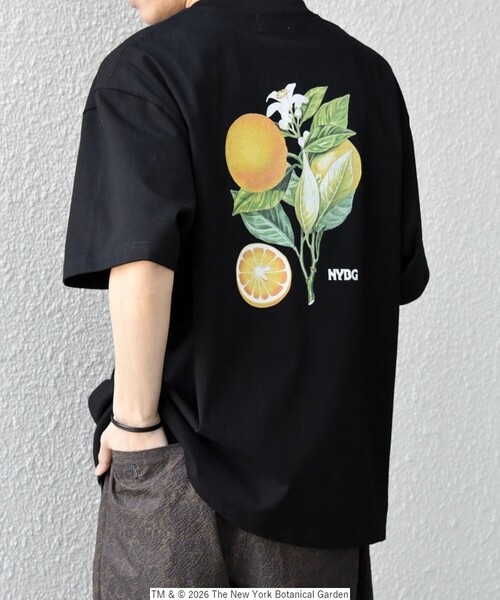 SHIPS any（シップス エニィ）の「【SHIPS any別注】NYBG: ボタニカル プリント リラックス Tシャツ◇（Tシャツ/カットソー・メンズ・ホワイト系その他/ホワイト/ブラック・MEDIUM/X-LARGE/LARGE）」の17枚目の写真