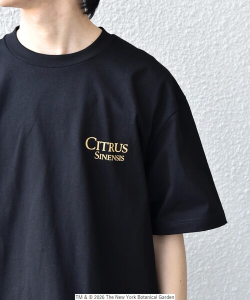 SHIPS any（シップス エニィ）の「【SHIPS any別注】NYBG: ボタニカル プリント リラックス Tシャツ◇（Tシャツ/カットソー・メンズ・ホワイト系その他/ホワイト/ブラック・MEDIUM/X-LARGE/LARGE）」の18枚目の写真