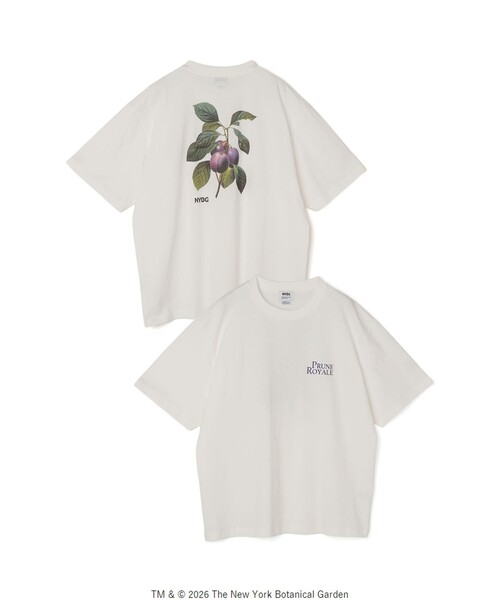 SHIPS any（シップス エニィ）の「【SHIPS any別注】NYBG: ボタニカル プリント リラックス Tシャツ◇（Tシャツ/カットソー・メンズ・ホワイト系その他/ホワイト/ブラック・MEDIUM/X-LARGE/LARGE）」の19枚目の写真