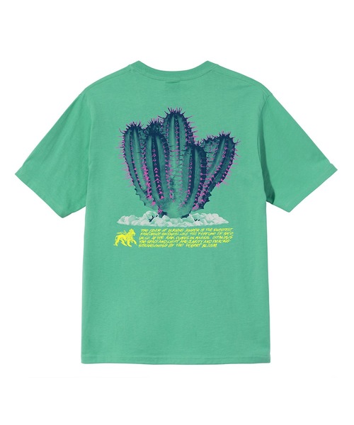 ★関税込★STUSSY★DESERT BLOOM TEE ステューシー ロゴTシャツ ☆関税込☆STUSSY☆DESERT BLOOM TEE ステューシー ロゴTシャツ