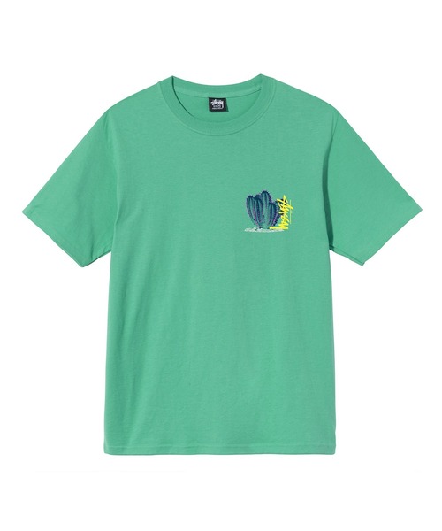 STUSSY（ステューシー）の「Desert Bloom Tee（Tシャツ