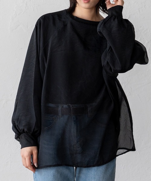 VitaFelice(ヴィータフェリーチェ)の「オーガンジーレイヤードトップス(Tシャツ/カットソー・レディース・ブラック/ベージュ系・FREE)」の3枚目の写真