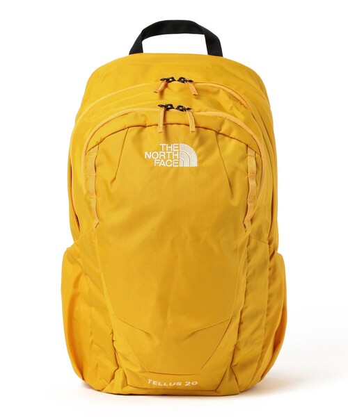 【残りわずか】 THE 2025（20L）（バックパック テルス キッズ / FACE NORTH バッグ