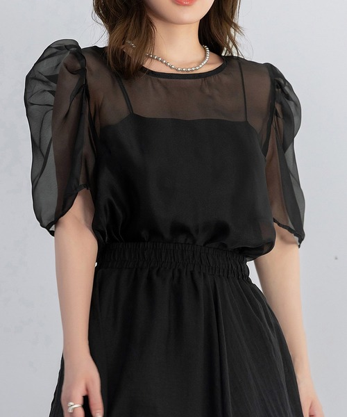 DAY CLOSET(デイ クローゼット)の「レディース 上品に肌を隠す。半袖シアーボリュームパワショルブラウス(シャツ/ブラウス・レディース・ホワイト系その他/ブラック系その他/ブラック/ホワイト・FREE)」の22枚目の写真