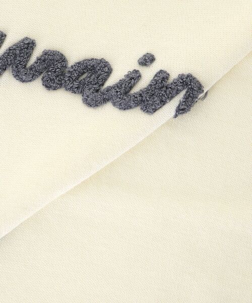 le.coeur blanc(ルクールブラン)の「フレーズロゴ刺繍Vネックニット(ニット/セーター・レディース・ブラウン/グレー/ホワイト・38)」の12枚目の写真