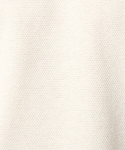 green label relaxing（グリーンレーベルリラクシング）の「タック ピケ ビズ クルーネック ニット -ウォッシャブル-（ニット/セーター・メンズ・ライム/ホワイト/ブラック・XL/L/M/S）」の21枚目の写真