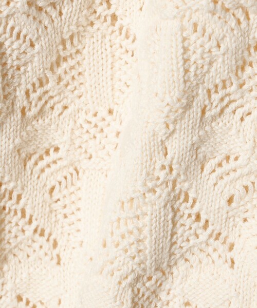 BEAUTY&YOUTH UNITED ARROWS（ビューティーアンドユースユナイテッドアローズ）の「【WEB限定 Wardrobe DAILY MINIMAL】レース ジップカーディガン ウォッシャブル（カーディガン/ボレロ・レディース・オフホワイト/ブラック/ライトグレー・FREE）」の20枚目の写真