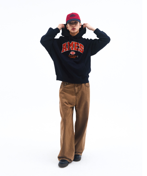AMESWORLDWIDE（アメスワールドワイド）の「BASIC APPLIQUE HOODIE NAVY（パーカー・レディース・その他・LARGE/MEDIUM/SMALL）」の10枚目の写真