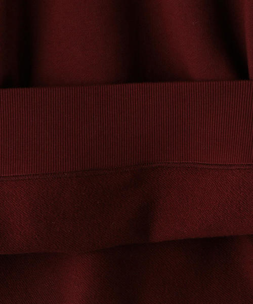 Champion(チャンピオン)の「Champion ( チャンピオン ) クルーネックロゴスウェット(スウェット・レディース・ナチュラル/ネイビー/ワインレッド・MEDIUM/SMALL)」の12枚目の写真