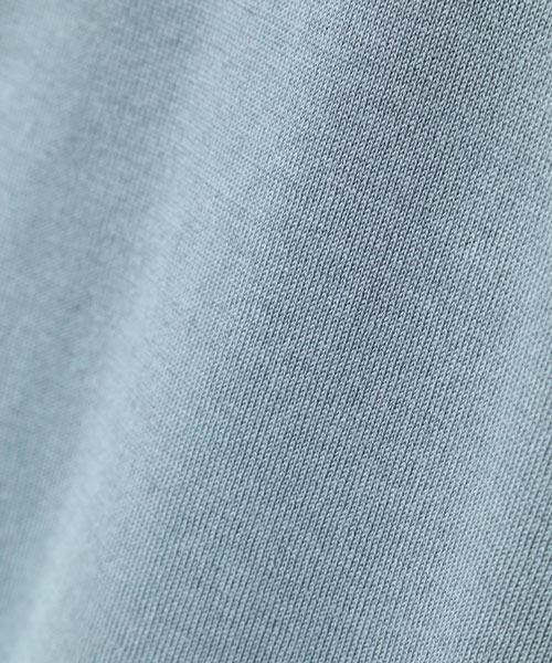 SUNSPEL(サンスペル)の「SUNSPEL / MEN’S SEA ISLAND COTTON(ポロシャツ・メンズ・ブルー/ワインレッド・MEDIUM/LARGE)」の6枚目の写真