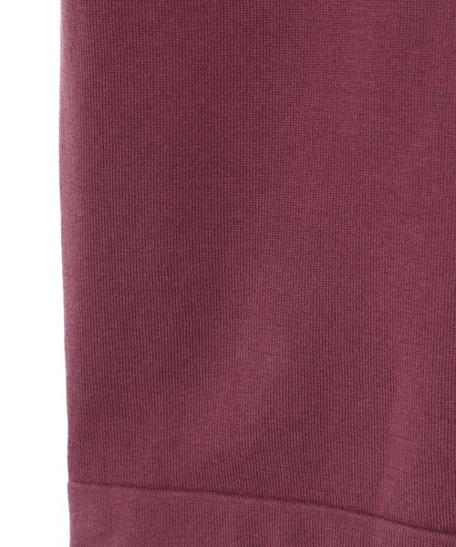 SUNSPEL(サンスペル)の「SUNSPEL / MEN’S SEA ISLAND COTTON(ポロシャツ・メンズ・ブルー/ワインレッド・MEDIUM/LARGE)」の16枚目の写真