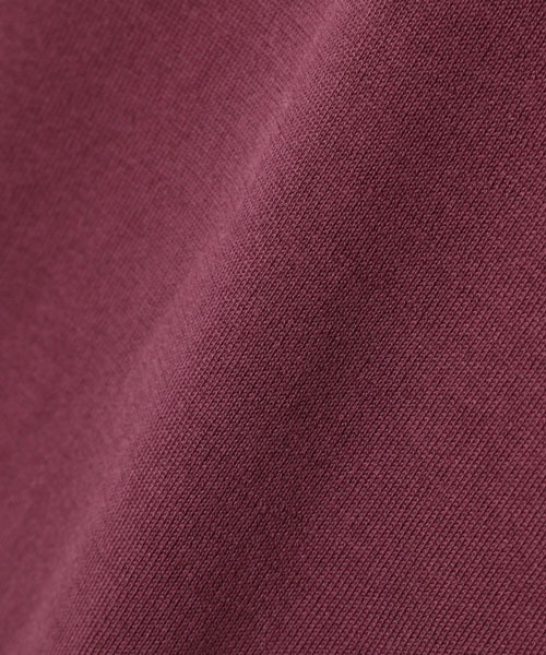 SUNSPEL(サンスペル)の「SUNSPEL / MEN’S SEA ISLAND COTTON(ポロシャツ・メンズ・ブルー/ワインレッド・MEDIUM/LARGE)」の17枚目の写真