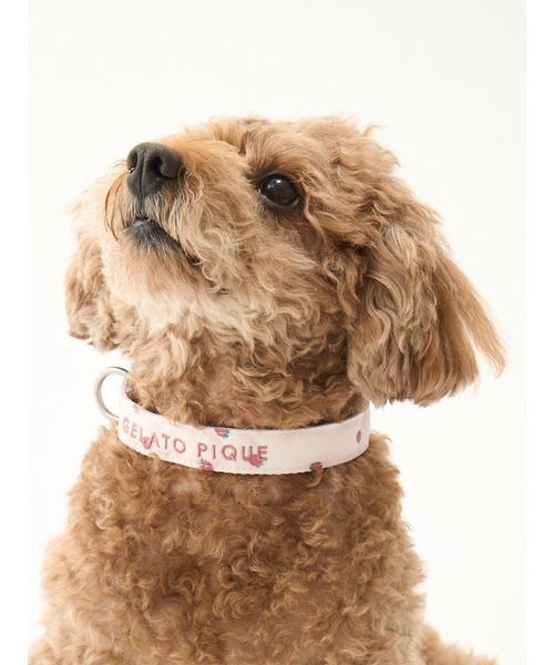 CAT&DOG】【販路限定商品】モチーフ柄首輪（リード/ハーネス