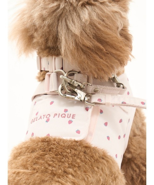 ジェラートピケ 【CAT&DOG】モチーフ柄首輪&リード CAT&DOG】【販路限定商品】モチーフ柄ハーネス（首輪・リード