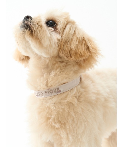 gelato pique(ジェラートピケ)の「【CAT&DOG】【販路限定商品】モチーフ柄首輪(リード/ハーネス/首輪・レディース・ピンク/ベージュ・SMALL/MEDIUM/LARGE)」の17枚目の写真