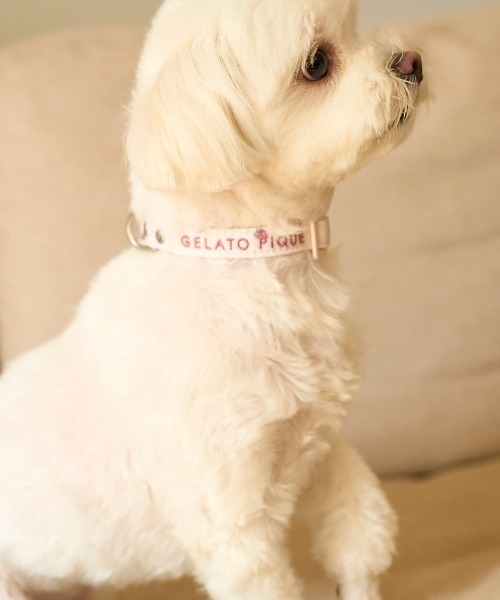 ジェラートピケ 【CAT&DOG】モチーフ柄首輪&リード CAT&DOG】【販路限定商品】モチーフ柄首輪（リード/ハーネス