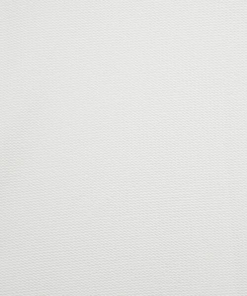 MEN'S MELROSE(メンズメルローズ)の「シュリンクジャガードVネックTシャツ(Tシャツ/カットソー・メンズ・ミント/ネイビー/ホワイト・2/3/4)」の21枚目の写真