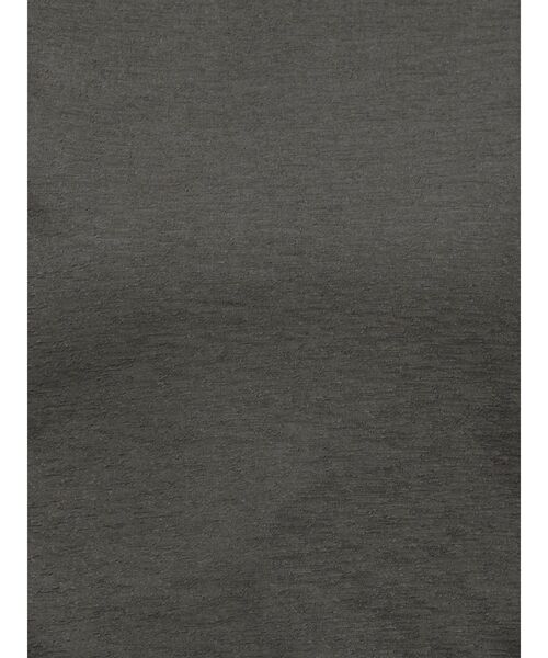 MERCURYDUO(マーキュリーデュオ)の「ハイネックシアートップス(Tシャツ/カットソー・レディース・ライトブルー/チャコールグレー/アイボリー・FREE)」の21枚目の写真