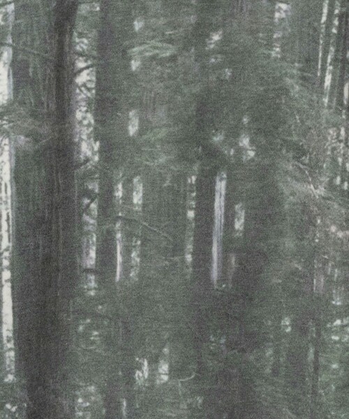 CITEN(シテン)の「<CITEN>ツリーカモロゴスウェット(スウェット・メンズ・ダークグレー・M/L)」の14枚目の写真