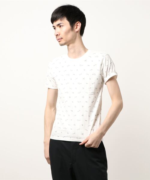 インセクトコレクション　大人用M IC_ladys_long.webp