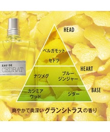 Terre de Lumière L'Eau 香水とハンドクリームセット 楽天市場】ロクシタン terre de lumiereの通販
