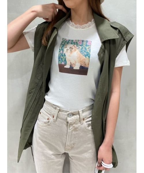 MOUSSY（マウジー）の「BE LOVED DOG Tシャツ（Tシャツ/カットソー・レディース・ライトブラック/ライトブルー/アイボリー・FREE）」の15枚目の写真