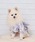 ONEKOSAMA OINUSAMA�i�I�l�R�T�}�j�́uDESIGNERS GUILD �R���{ �y�b�g���߁@(XS-3L)�i�y�b�g�E�F�A�j�v�b�u���[