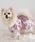 ONEKOSAMA OINUSAMA�i�I�l�R�T�}�j�́uDESIGNERS GUILD �R���{ �y�b�g���߁@(XS-3L)�i�y�b�g�E�F�A�j�v�b�R�[����
