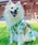 ONEKOSAMA OINUSAMA�i�I�l�R�T�}�j�́uDESIGNERS GUILD �R���{ �y�b�g���߁@(XS-3L)�i�y�b�g�E�F�A�j�v�b�G�������h