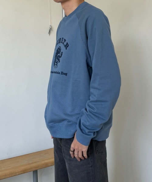 eLur（エラー）の「ドッグスウェットシャツ（スウェット・レディース・ブルー/イエロー/ライトグレー・MEDIUM/LARGE）」の10枚目の写真