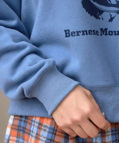 eLur（エラー）の「ドッグスウェットシャツ（スウェット・レディース・ブルー/イエロー/ライトグレー・MEDIUM/LARGE）」の17枚目の写真