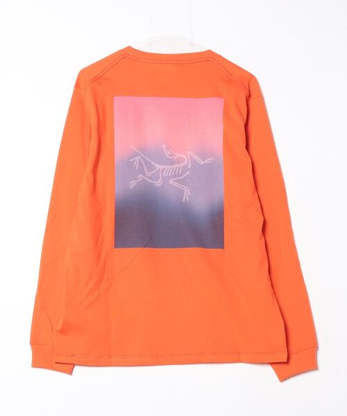 楽天市場】ARCTERYX アークテリクス Tシャツ Kragg SL Cotton LS