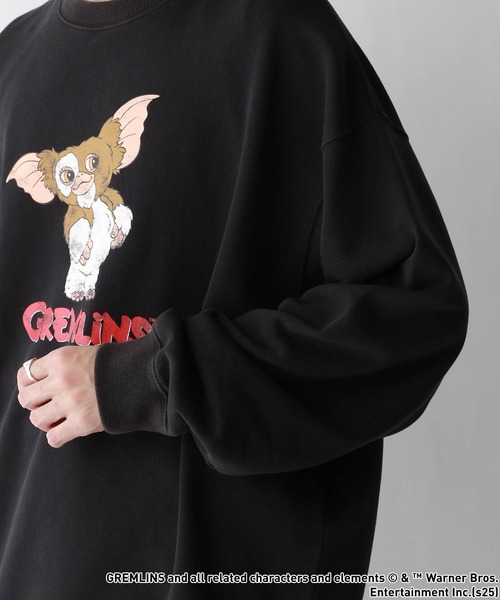 すみっコぐらし】裏起毛プリントトレーナー（男の子・女の子） 通販【ニッセン】 アニメキャラクター ダイレンジャー　プリント スウェットトレーナー 120cm