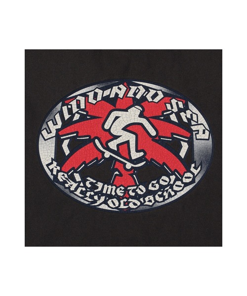 WIND AND SEA（ウィンダンシー）の「Printed Washed S/S Tee（Tシャツ/カットソー・メンズ・ホワイト/サックスブルー/ブラック・XL/M/L）」の12枚目の写真