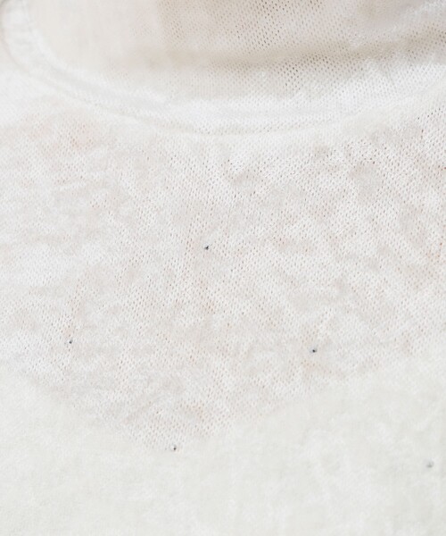 Ray BEAMS（レイビームス）の「ベロア チュール ハイネック トップス（Tシャツ/カットソー・レディース・サックスブルー/ブラック/ホワイト系その他6・ONE SIZE）」の5枚目の写真