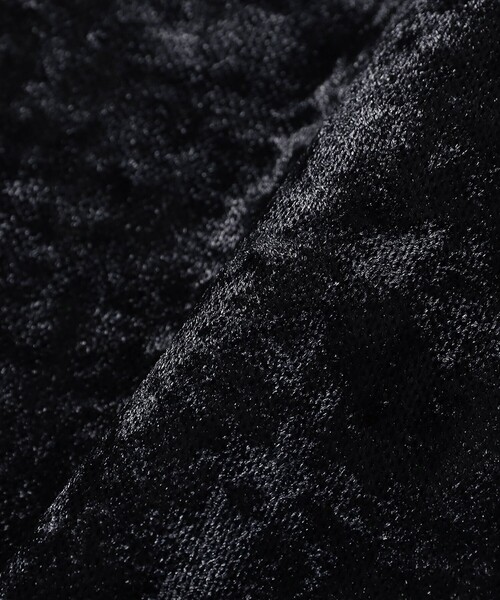 Ray BEAMS（レイビームス）の「ベロア チュール ハイネック トップス（Tシャツ/カットソー・レディース・サックスブルー/ブラック/ホワイト系その他6・ONE SIZE）」の16枚目の写真