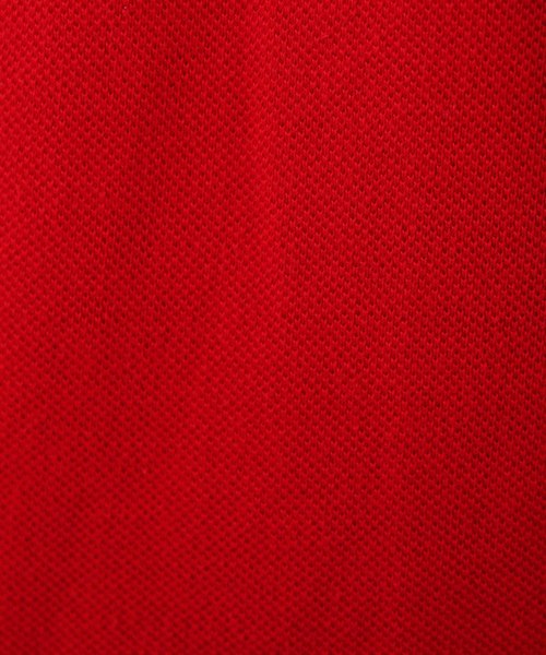 POLO RALPH LAUREN（ポロ ラルフ ローレン）の「POLO RALPH LAUREN ビッグロゴポロシャツ（ポロシャツ・メンズ・ネイビー/ブラック/ホワイト/レッド/グレー・X-LARGE/LARGE/MEDIUM）」の19枚目の写真