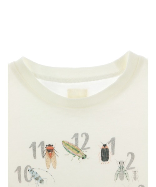 INSECT COLLECTION（インセクトコレクション）の「時間を学ぼう！抗ウイルス・抗菌・防汚・消臭昆虫時計Tシャツ（Tシャツ/カットソー・キッズ・オフホワイト・L/XL/S/M）」の4枚目の写真