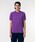 LACOSTE�i���R�X�e�j�́u�w�k.12.12�x��Ԕ����|���V���c�i�|���V���c�j�v�b�o�C�I���b�g