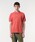 LACOSTE�i���R�X�e�j�́u�w�k.12.12�x��Ԕ����|���V���c�i�|���V���c�j�v�b���[�Y