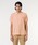 LACOSTE�i���R�X�e�j�́u�w�k.12.12�x��Ԕ����|���V���c�i�|���V���c�j�v�b�I�����W�n���̑�