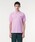LACOSTE�i���R�X�e�j�́u�w�k.12.12�x��Ԕ����|���V���c�i�|���V���c�j�v�b�`�F���[�s���N