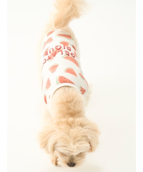 gelato pique（ジェラートピケ）の「【CAT&DOG】【販路限定商品