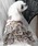 ANNA SUIiAiXCj́uANNA SUI/qE`Cis[XiybgEFAjvbx[W