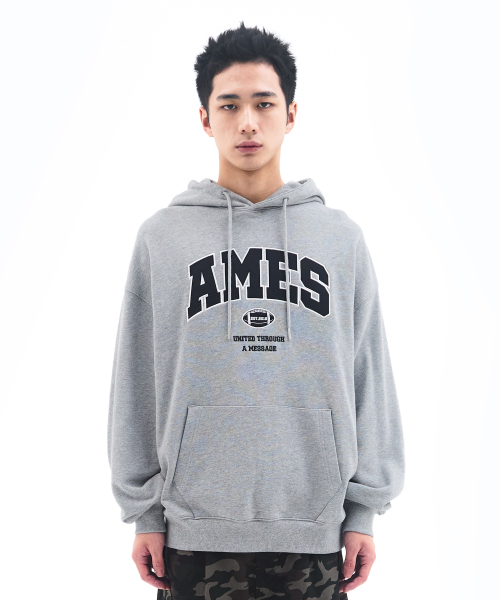 AMESWORLDWIDE（アメスワールドワイド）の「BASIC APPLIQUE HOODIE GREY（パーカー・レディース・その他・LARGE/MEDIUM/SMALL）」の4枚目の写真