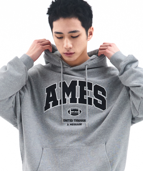 AMESWORLDWIDE（アメスワールドワイド）の「BASIC APPLIQUE HOODIE GREY（パーカー・レディース・その他・LARGE/MEDIUM/SMALL）」の6枚目の写真