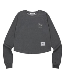 ダイロンピグメントナグランクロップグリムロングスリーブTシャツ（2カラー）